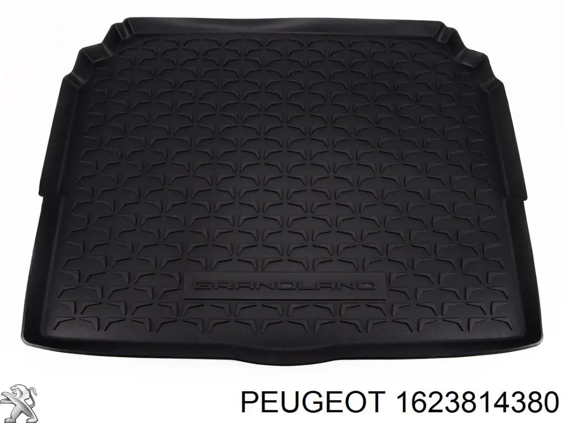 1681894280 Peugeot/Citroen 