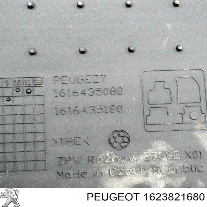 1623821680 Peugeot/Citroen 