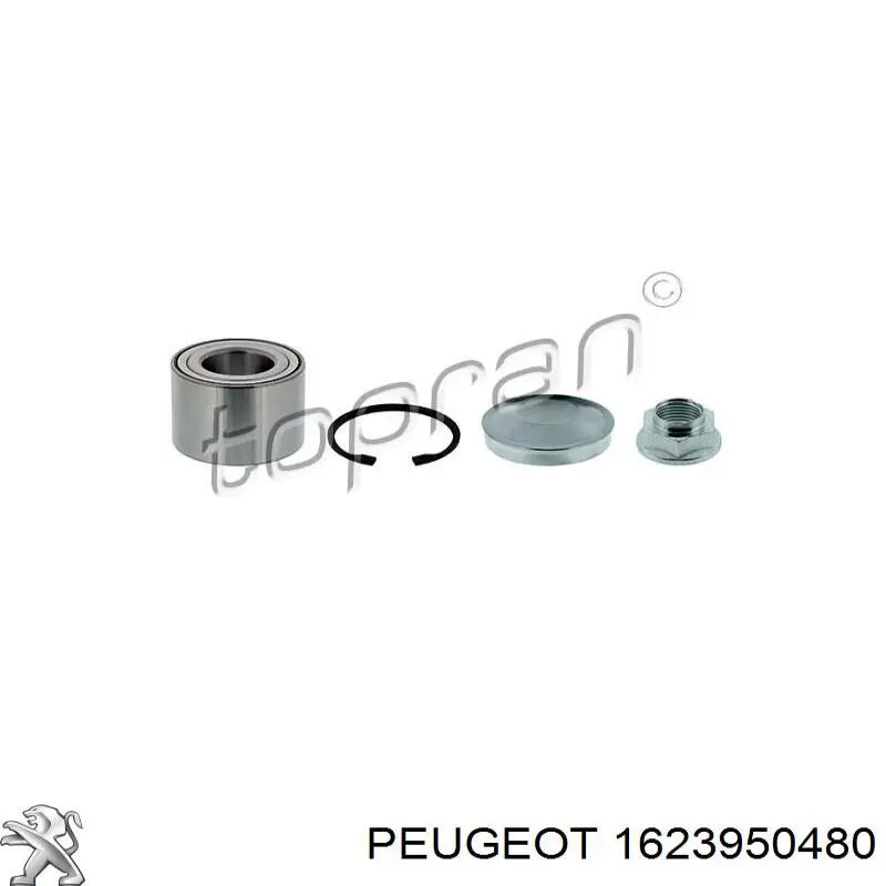 1623950480 Peugeot/Citroen Підшипник ступиці задньої