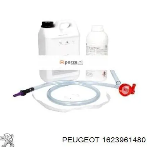 РІдина для очищення сажекоптевих фільтрів Peugeot/Citroen 1623961480 ціна, від 80.88 USD