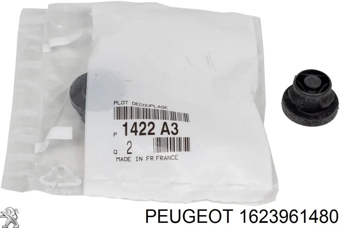 1623961480 Peugeot/Citroen РІдина для очищення сажекоптевих фільтрів