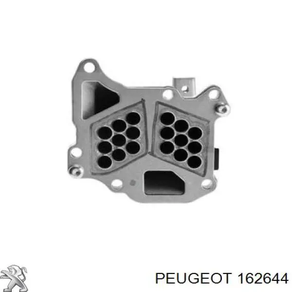 Радіатор системи EGR рециркуляції вихлопних газів 162644 Peugeot/Citroen