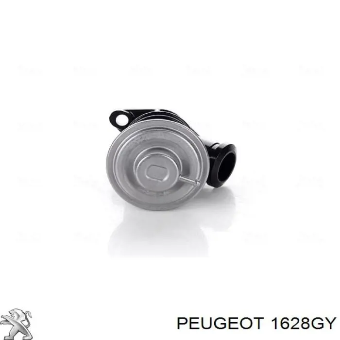 Клапан EGR рециркуляції газів Peugeot/Citroen 1628GY