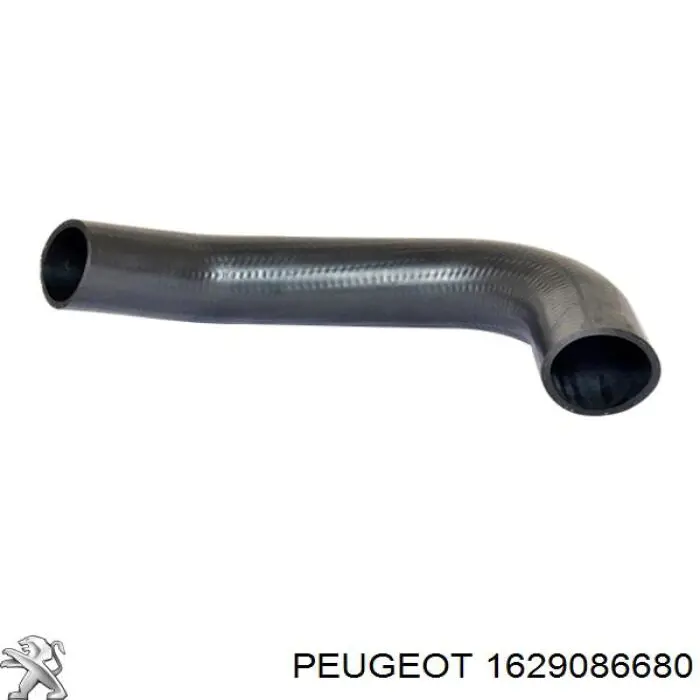 1617244580 Peugeot/Citroen Трубка, що нагнітається