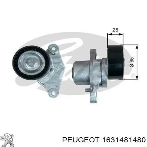 Натягувач приводного ременя INA 534092110 ціна, від 48.53 USD