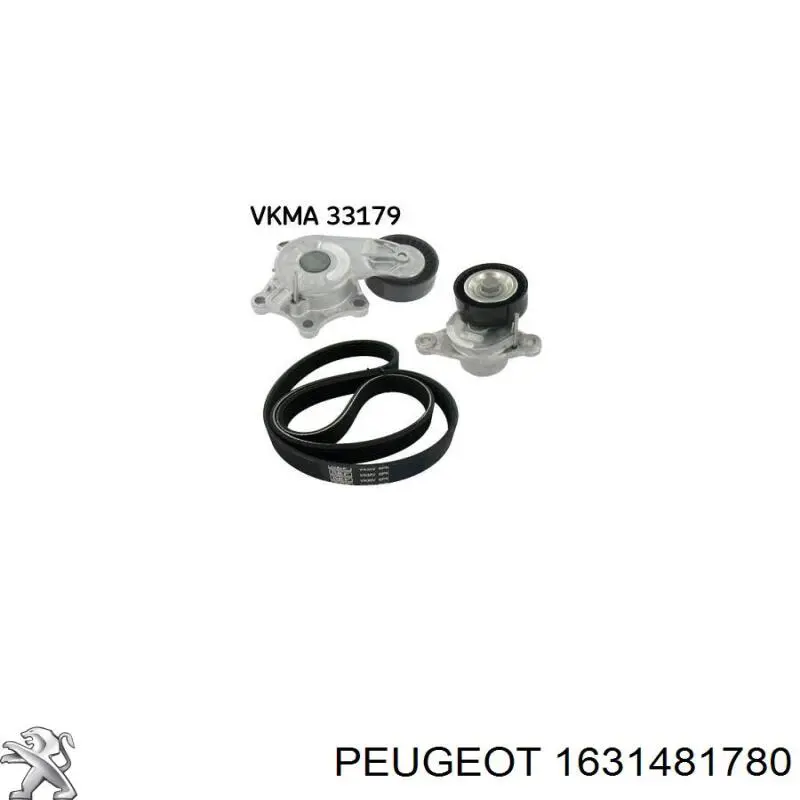 Купити 1631481780 Peugeot/Citroen Ремінь приводний, агрегатів, комплект