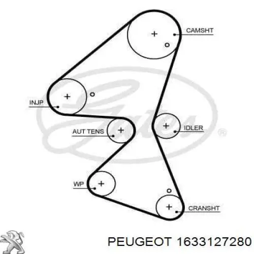 Зубчастий ремінь Peugeot/Citroen 1633127280 ціна, від 30.55 USD