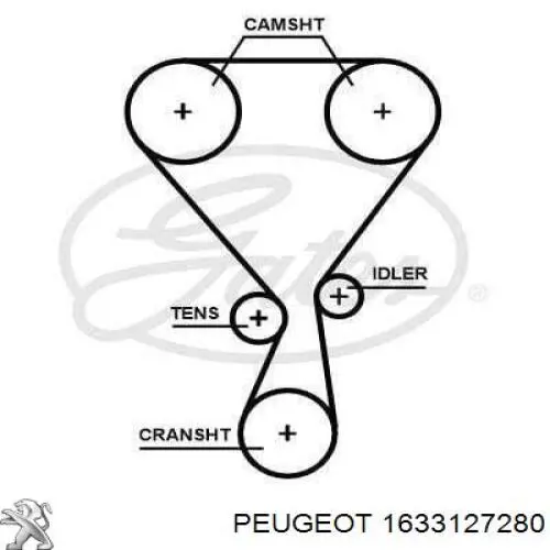 Купити 1633127280 Peugeot/Citroen Ремінь газорозподільного механізму