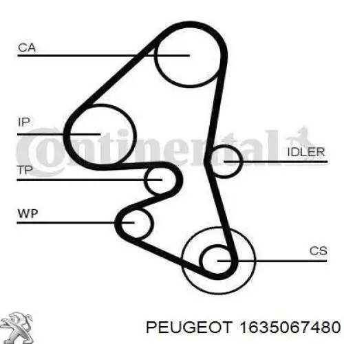 Комплект ГРМ Peugeot/Citroen 1635067480 ціна, від 111.63 USD