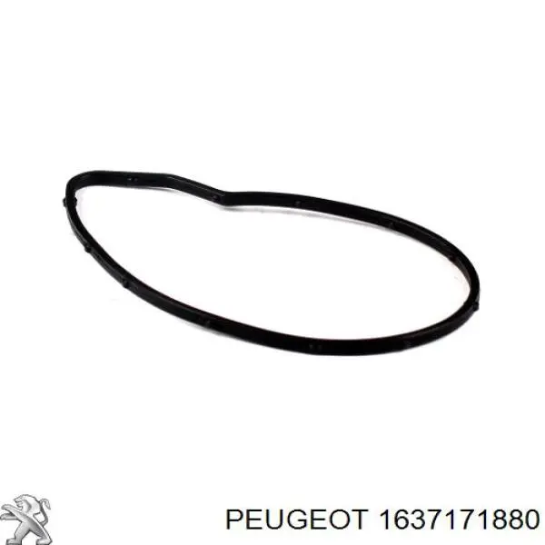 Помпа 1637171880 Peugeot/Citroen
