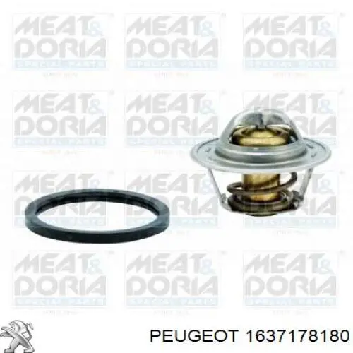 Помпа охолодження Peugeot/Citroen 1637178180 ціна, від 18.61 USD