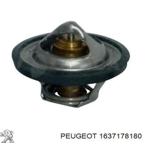 1637178180 Peugeot/Citroen Насос охолодження