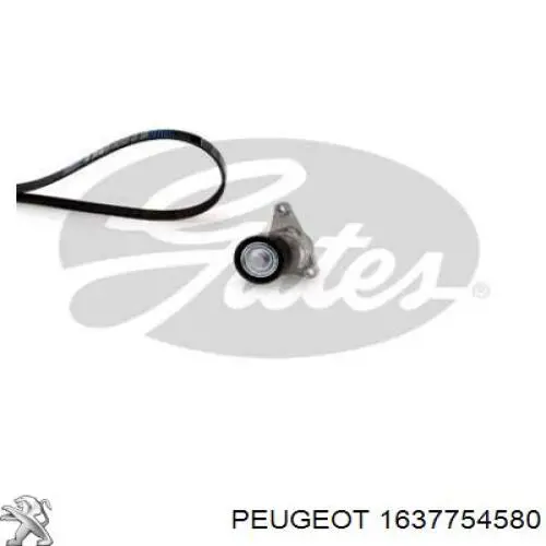 1637754580 Peugeot/Citroen Ремінь приводний, агрегатів, комплект