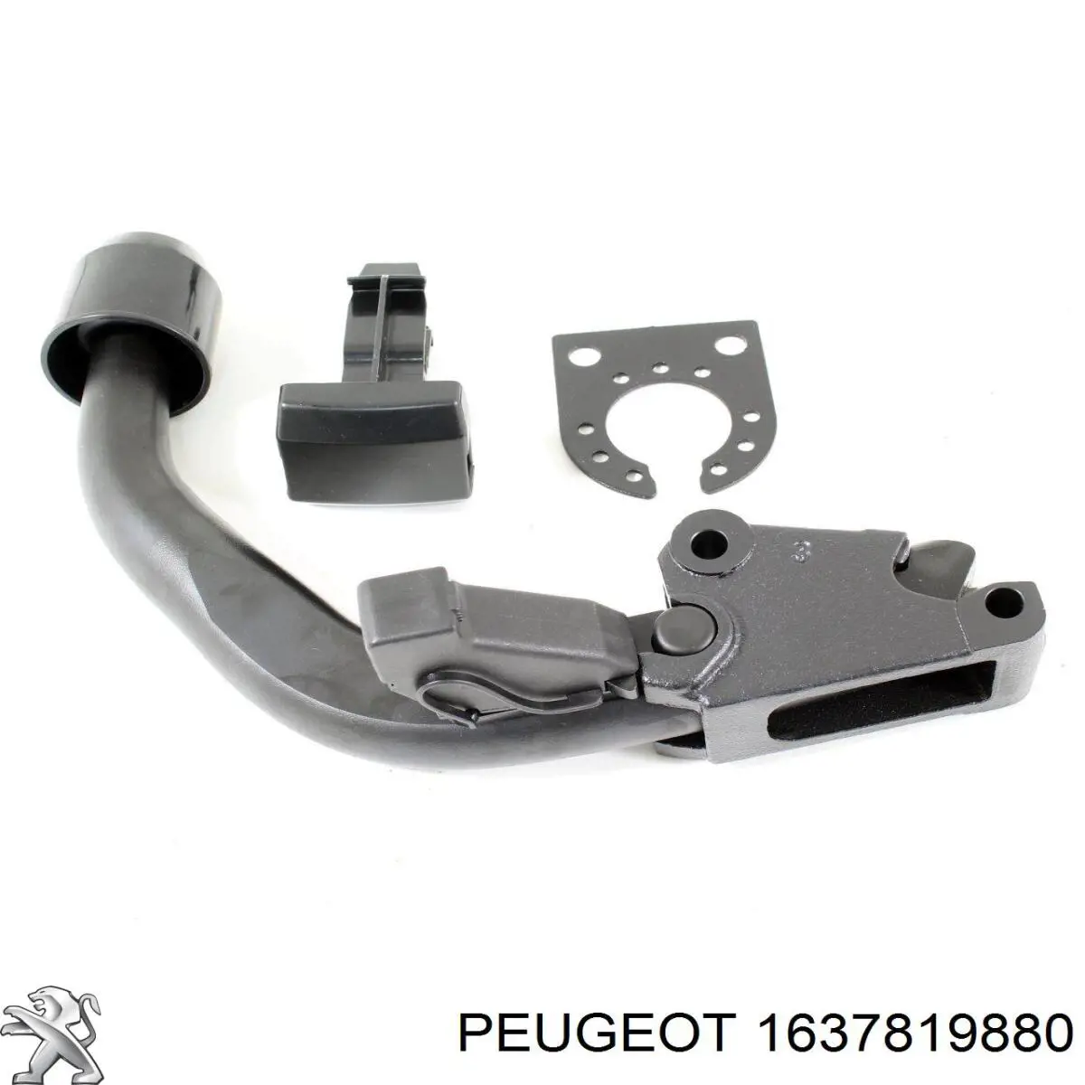 Купити 1637819880 Peugeot/Citroen 