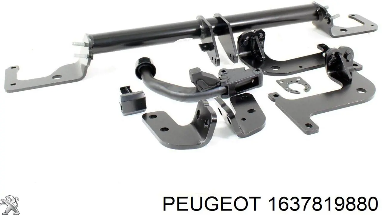 1637819880 Peugeot/Citroen 
