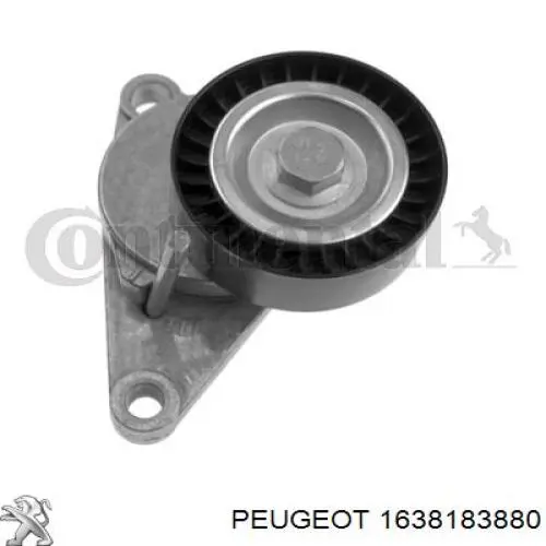 1638183880 Peugeot/Citroen Ремінь приводний, агрегатів, комплект