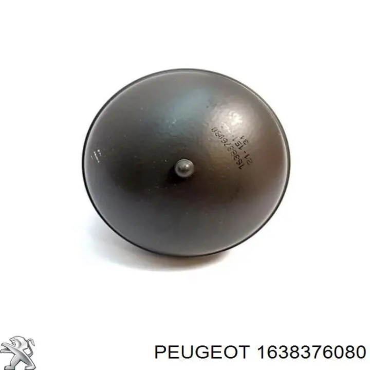 1638376080 Peugeot/Citroen Гидроакумулятор системи амортизації, задній