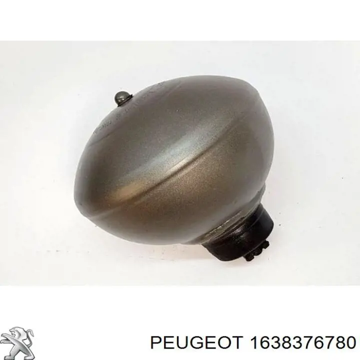 1638376780 Peugeot/Citroen Гидроакумулятор системи амортизації, задній