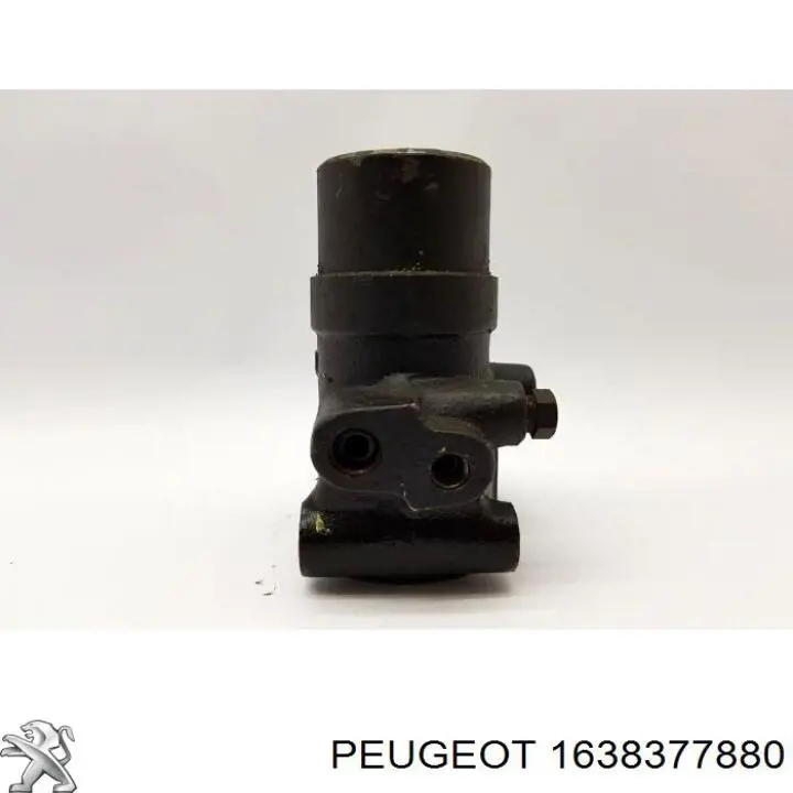 Купити 1638377880 Peugeot/Citroen 