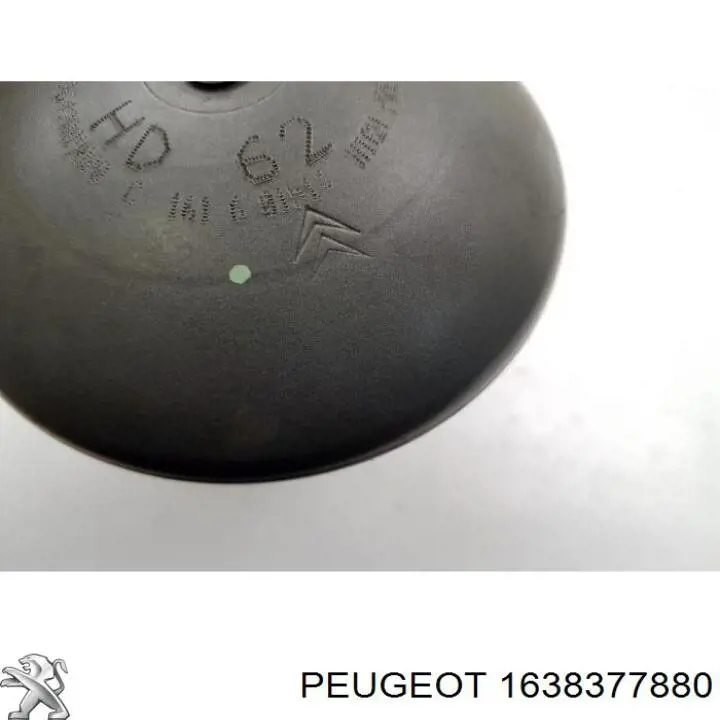  Peugeot/Citroen 1638377880
