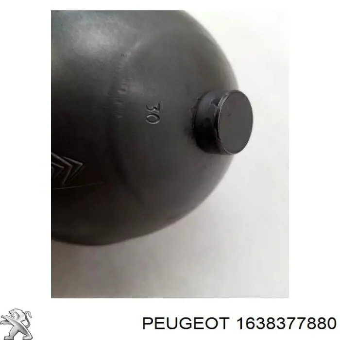  1638377880 Peugeot/Citroen