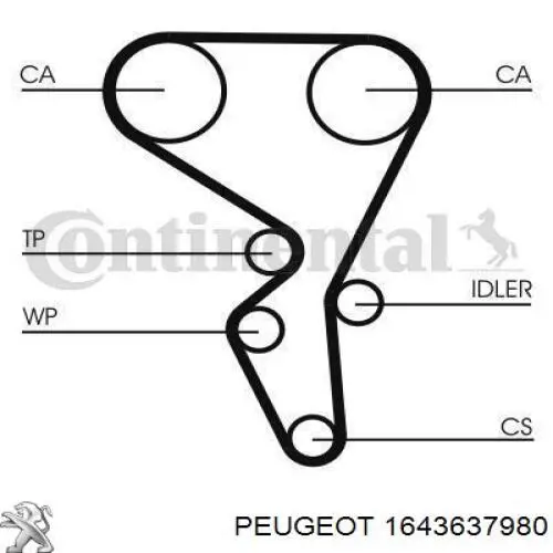 Комплект ГРМ Peugeot/Citroen 1643637980 ціна, від 76.09 USD