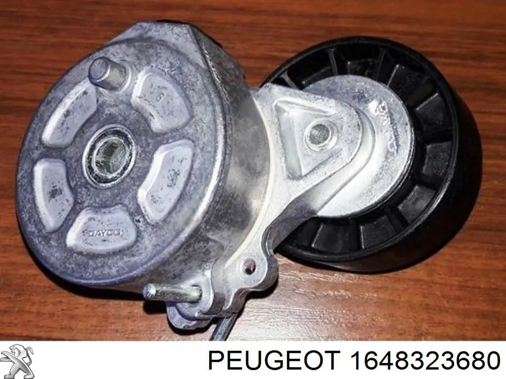 Купити 1648323680 Peugeot/Citroen Напрямна двері задньої розстібної