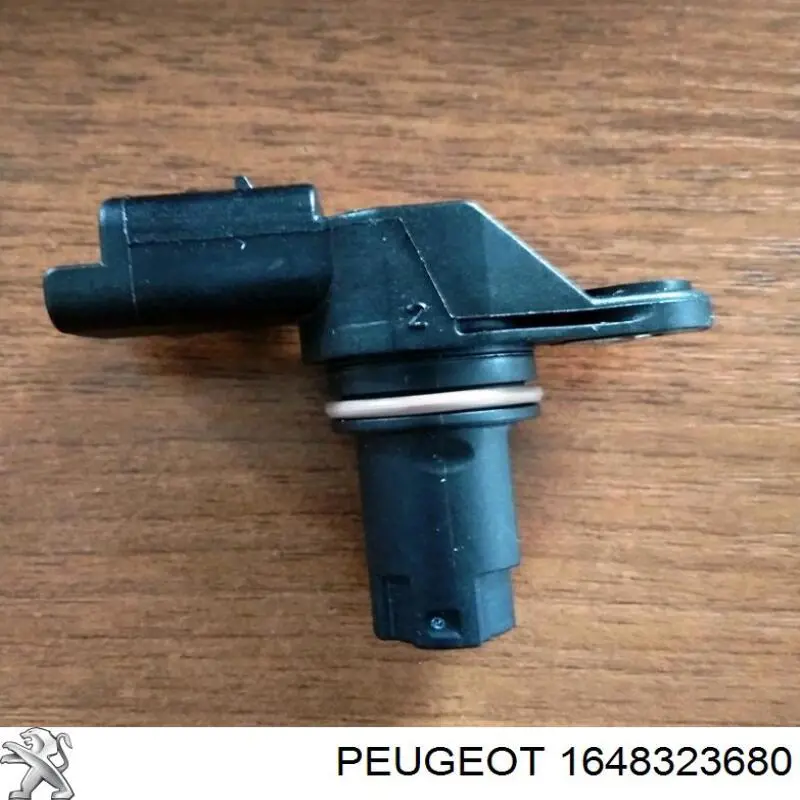 Напрямна двері задньої розстібної 1648323680 Peugeot/Citroen