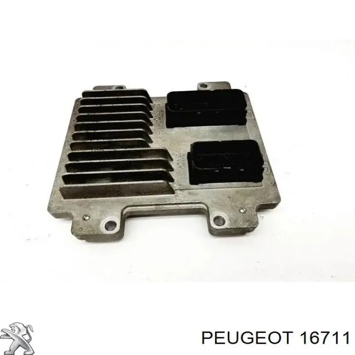 016711 Peugeot/Citroen заглушка гбц/блоку циліндрів