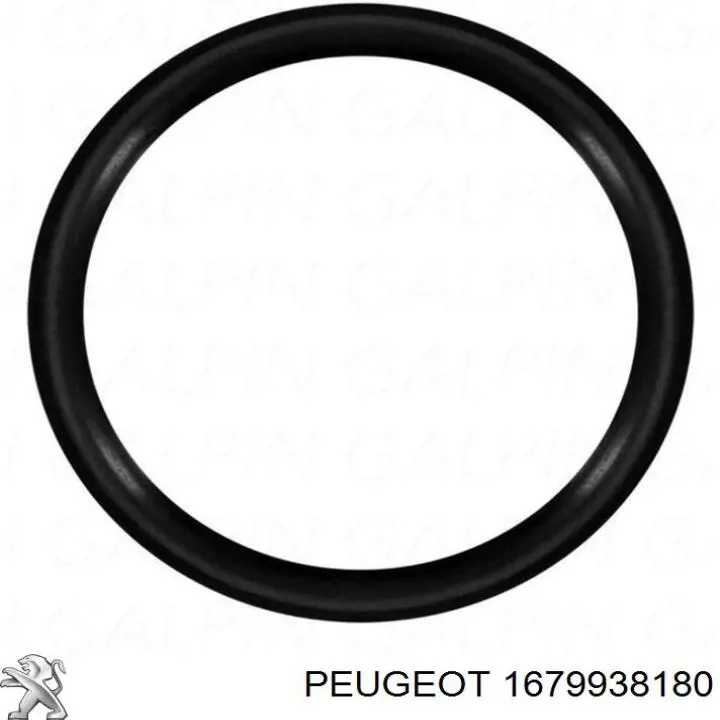  Peugeot/Citroen 1679938180