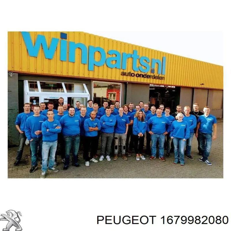 Підкрилок переднього крила, лівий Peugeot/Citroen 00007136HE ціна, від 13.70 USD