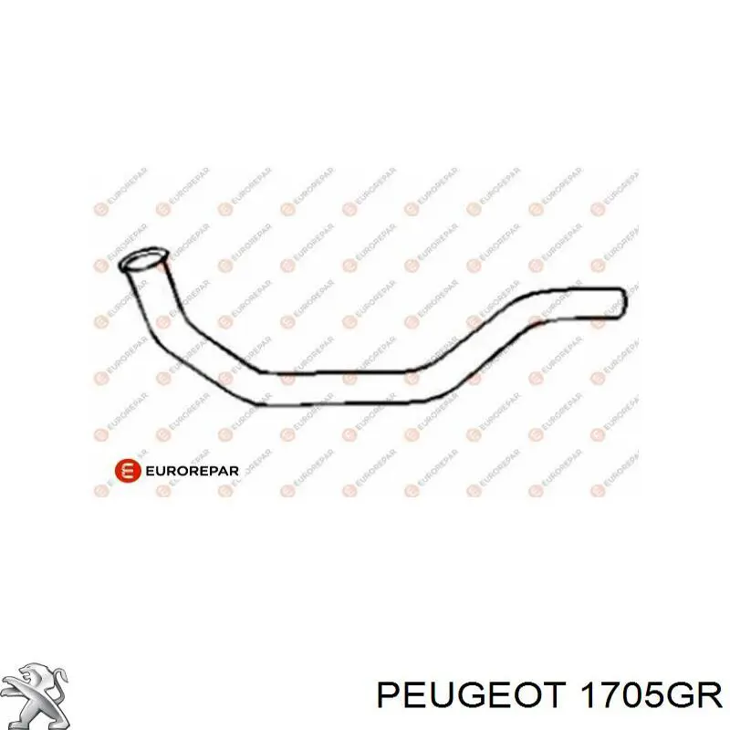 Труба приймальна (штани) глушника, передня Peugeot/Citroen 1705GR ціна, від 15.82 USD