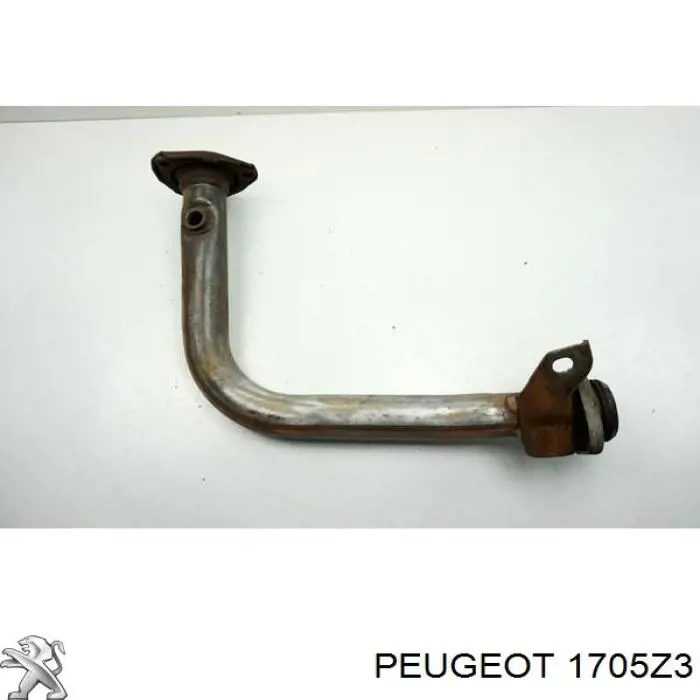 19202 Polmostrow труба приймальна (штани глушника, передня)