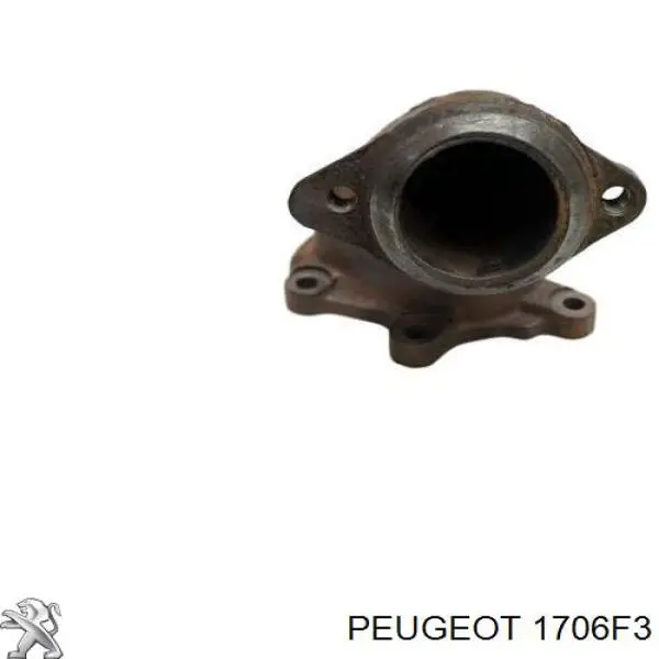 1706F3 Peugeot/Citroen Штани глушника передні