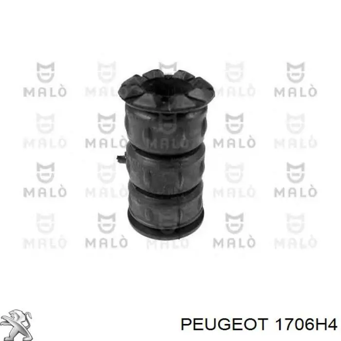 Купити 1706H4 Peugeot/Citroen Вихлоп