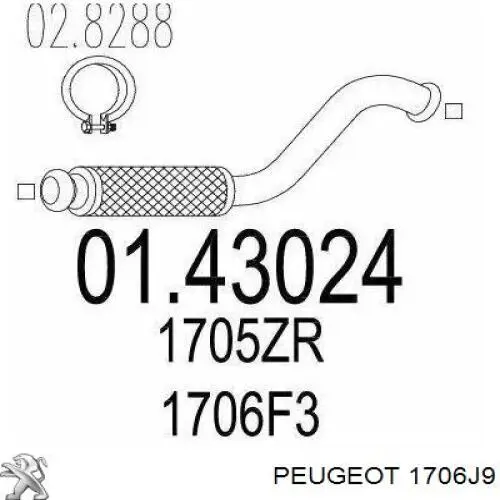 Труба приймальна (штани) глушника, передня Peugeot/Citroen 1706J9 ціна, від 63.84 USD