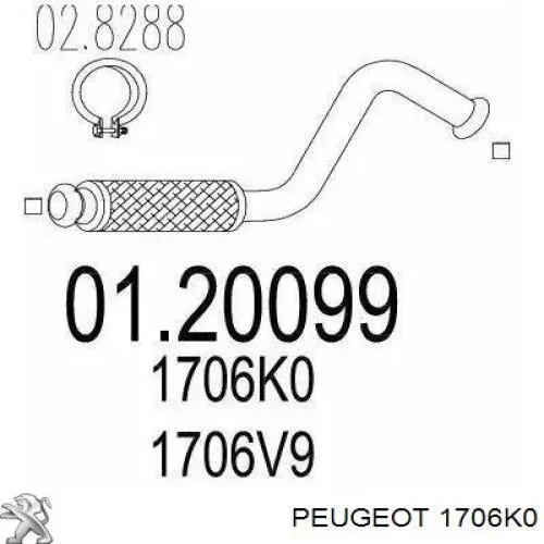 1706K0 Peugeot/Citroen Штани глушника передні