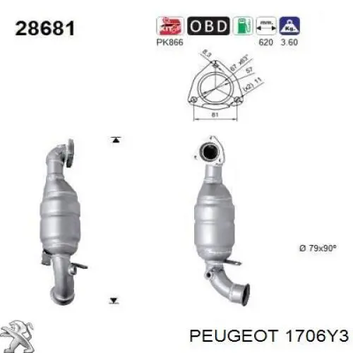 1706Y3 Peugeot/Citroen Каталітичний нейтралізатор відпрацьованих газів