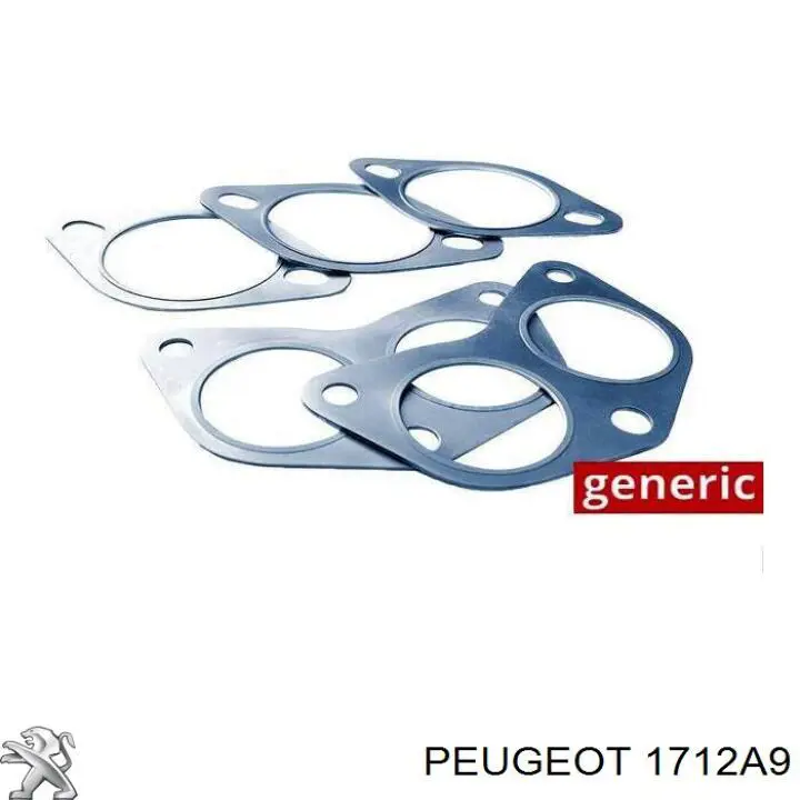 Купити 1712A9 Peugeot/Citroen Прокладка штанів