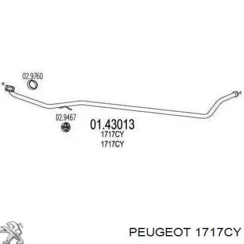 Глушник Peugeot/Citroen 1717CY ціна, від 41.20 USD