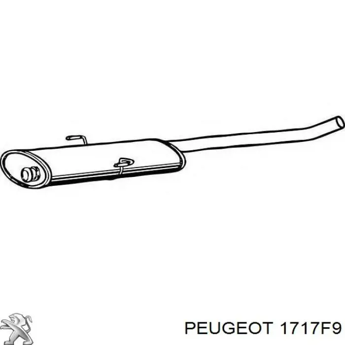 Глушник, центральна частина 1717F9 Peugeot/Citroen