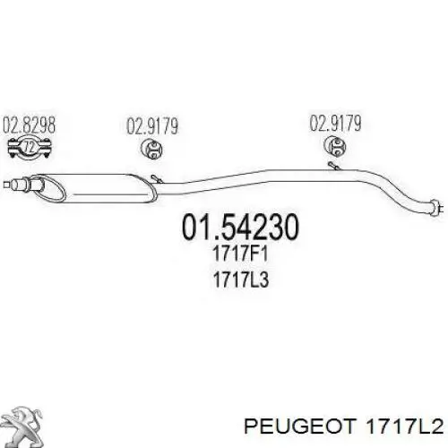 1717L2 Peugeot/Citroen глушник, центральна частина