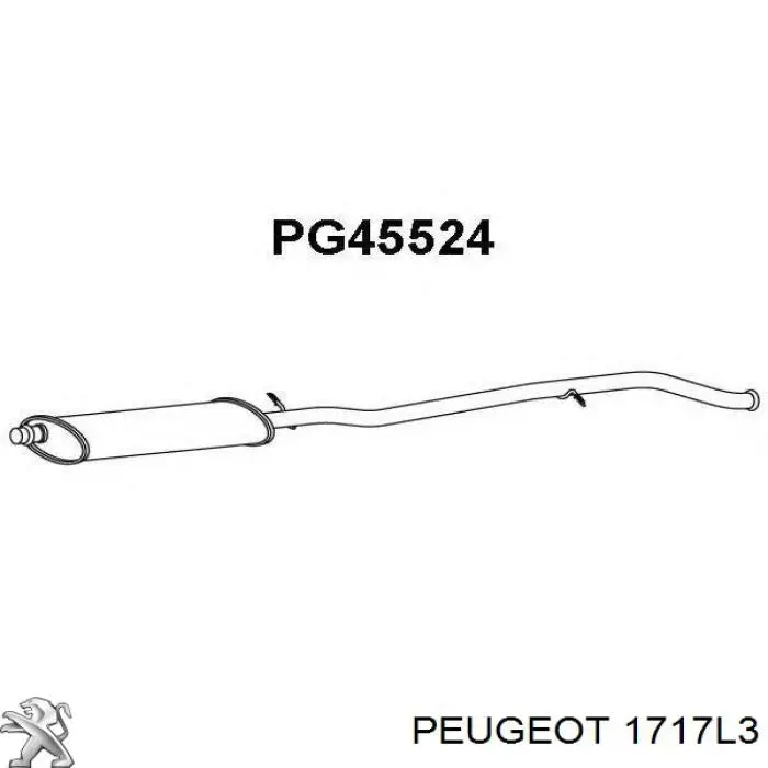 1717L3 Peugeot/Citroen глушник, центральна частина