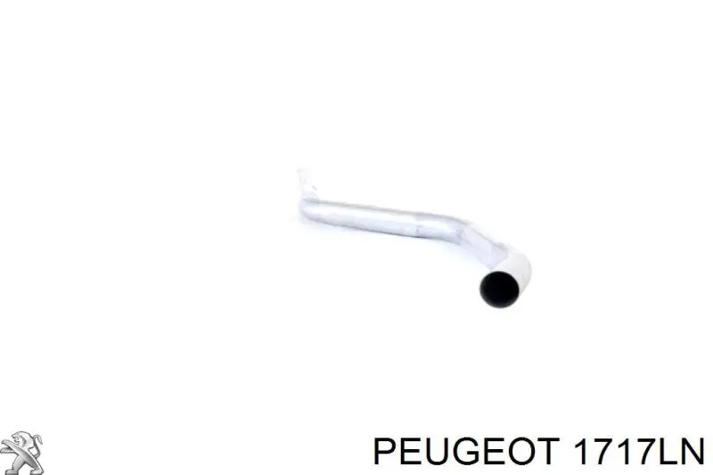 Глушник, центральна частина 1717LN Peugeot/Citroen