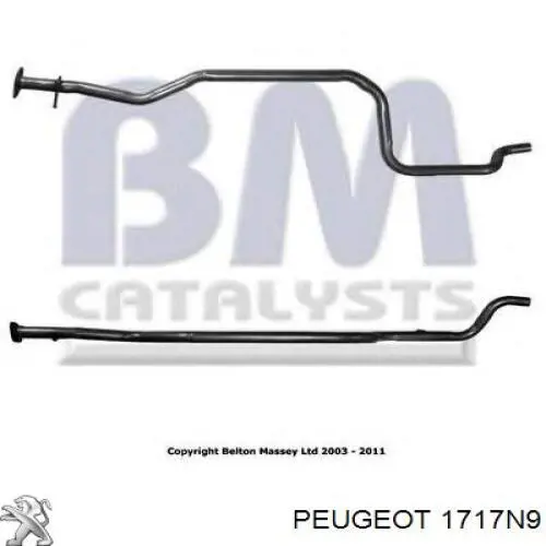 Глушник, центральна частина 1717N9 Peugeot/Citroen