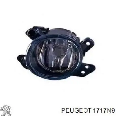 Глушник Peugeot/Citroen 1717N9 ціна, від 36.77 USD