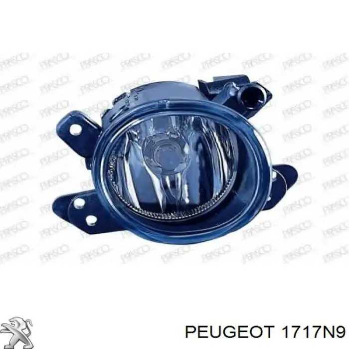 Купити 1717N9 Peugeot/Citroen Вихлоп