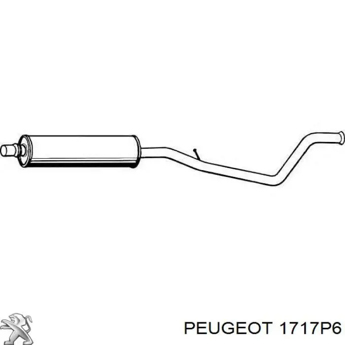 1717P6 Peugeot/Citroen глушник, центральна частина