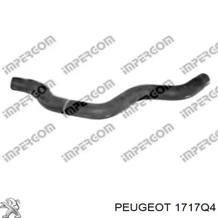 Купити 1717Q4 Peugeot/Citroen Вихлоп