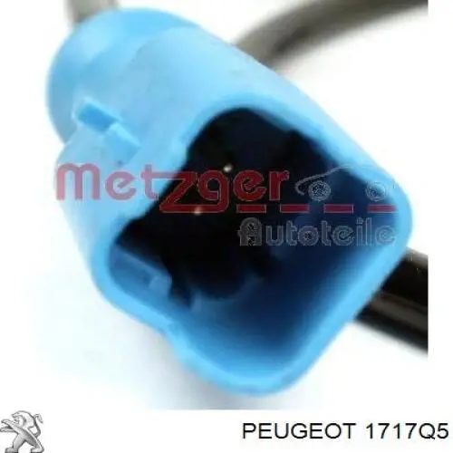 Глушник, центральна частина 9456200080 Peugeot/Citroen
